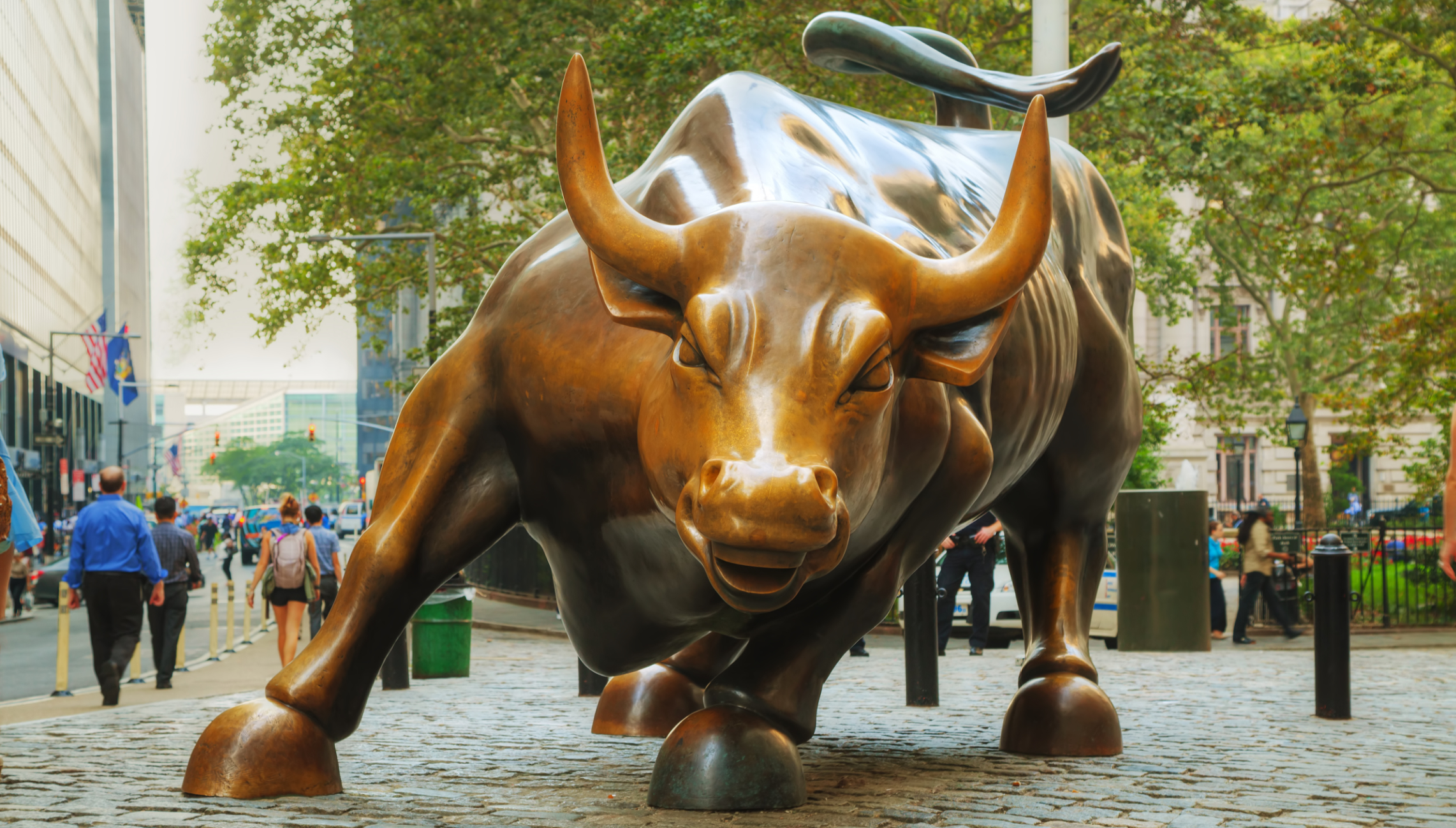 Choosing between Aquarius and Wall Street's Charging Bull Caleb's Journal
