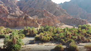 The Bitter Waters of Marah