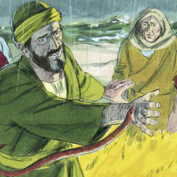 Acts_of_the_Apostles_Chapter_28-1_(Bible_Illustrations_by_Sweet_Media)